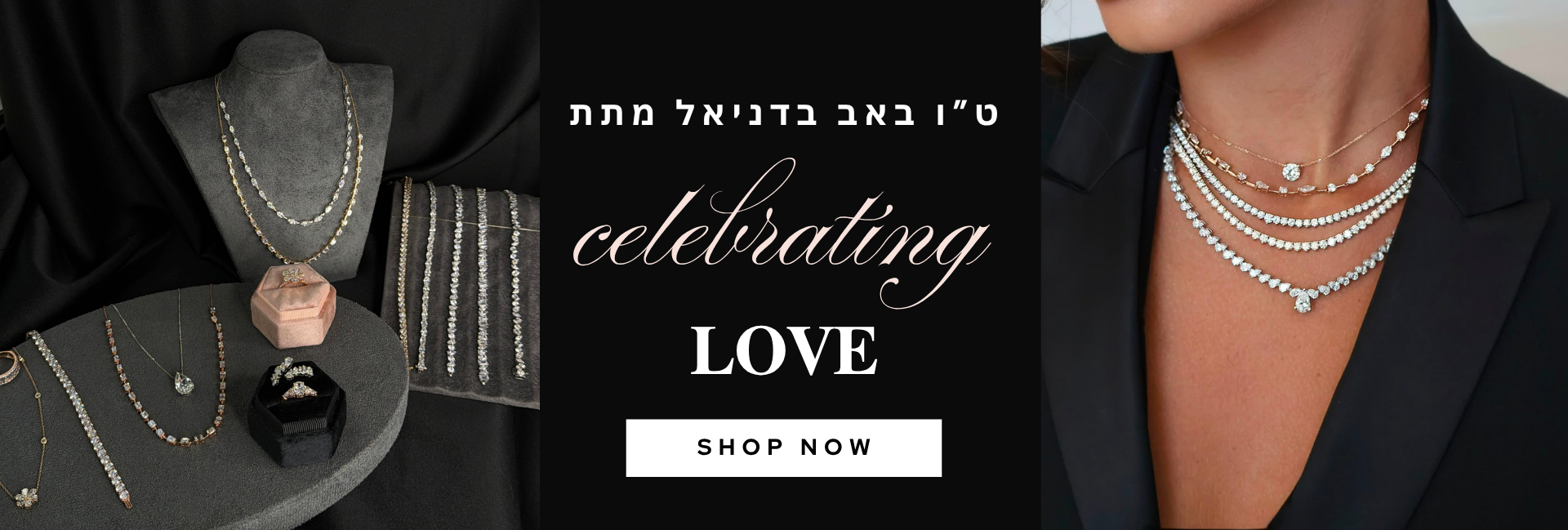 באנרים_אתר_(469_x_430_פיקסל)_(1920_x_649_פיקסל)_(2)
